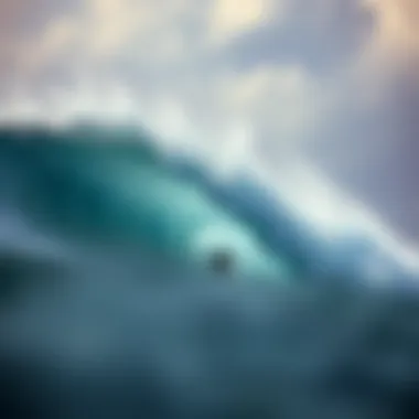 Magnificent Enhancing Lung Capacity: Techniques and Insights for Surfers Magnificent Enhancing Lung Capacity: Techniques and Insights for Surfers