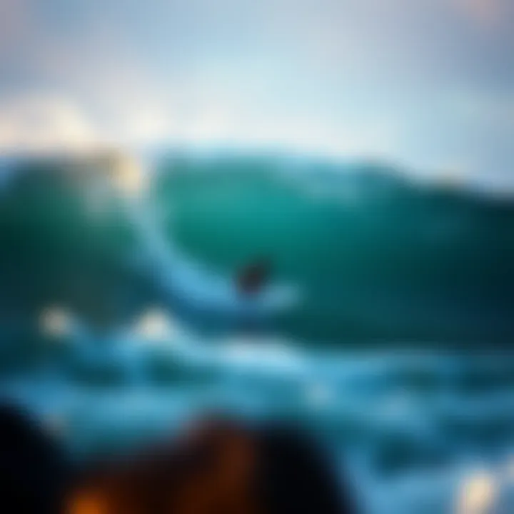 Magnificent Exploring Moku Surf Hawaii: A Comprehensive Insight Magnificent Exploring Moku Surf Hawaii: A Comprehensive Insight