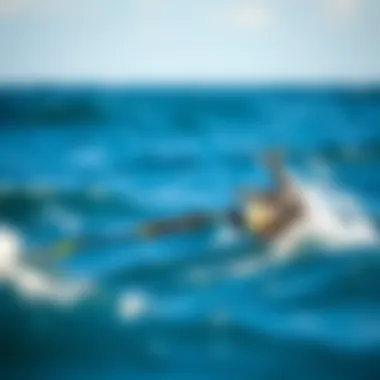Magnificent Exploring the Best Travel Surf Fishing Rod: An In-Depth Guide Magnificent Exploring the Best Travel Surf Fishing Rod: An In-Depth Guide