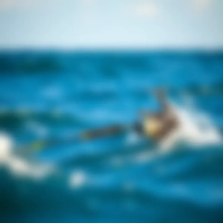 Magnificent Exploring the Best Travel Surf Fishing Rod: An In-Depth Guide Magnificent Exploring the Best Travel Surf Fishing Rod: An In-Depth Guide