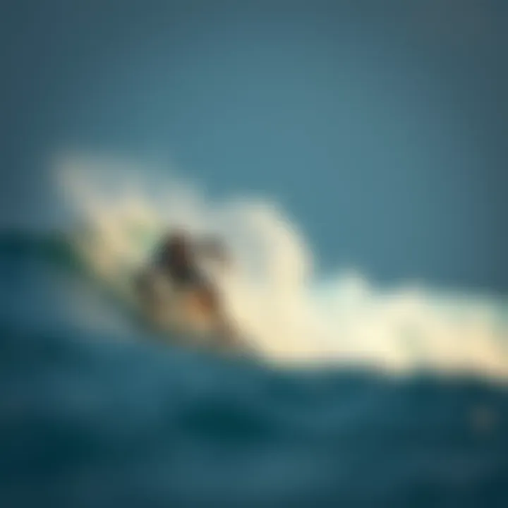 Magnificent Offshore vs. Onshore: An In-Depth Comparison for Surfboard Enthusiasts Magnificent Offshore vs. Onshore: An In-Depth Comparison for Surfboard Enthusiasts