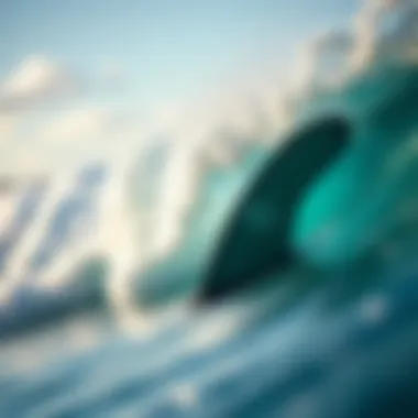 Magnificent The Role of MS Viper Fins in Surfboarding Magnificent The Role of MS Viper Fins in Surfboarding