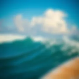 A Comprehensive Guide to All Epoxy Repair Kits for Surfboards Introduction