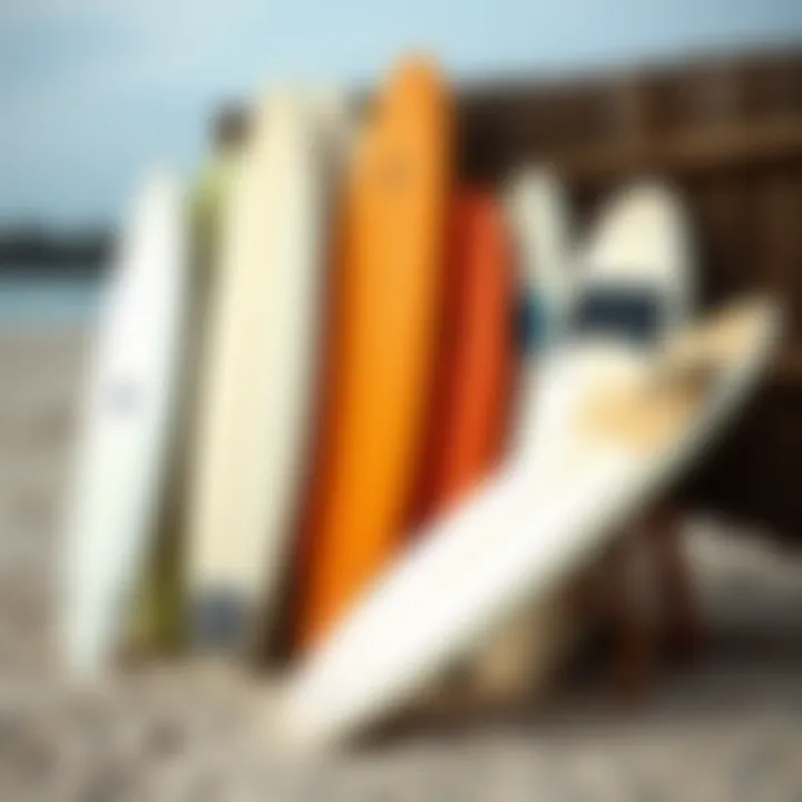 Various types of surfboards for beginners displayed on a sandy beach