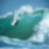 An In-Depth Exploration of the Wavestorm Surfboard Introduction
