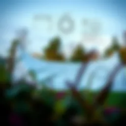 Blueprint of a backyard halfpipe showcasing design specifications