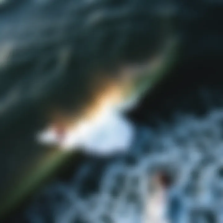 Surfing from Above Aerial view of surfers riding waves