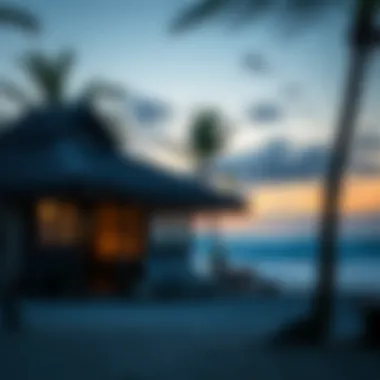 Cozy Accommodations by the Beach Cozy accommodations at the surf camp with beachfront access