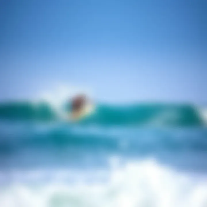 Optimal Surf Conditions for All Levels Surfers enjoying the ideal surf conditions at Barra de la Cruz