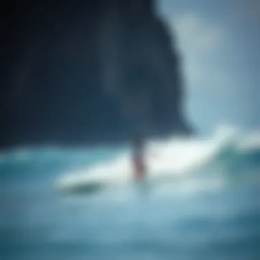 Surfers at Barra de la Cruz Surfers enjoying perfect conditions at Barra de la Cruz