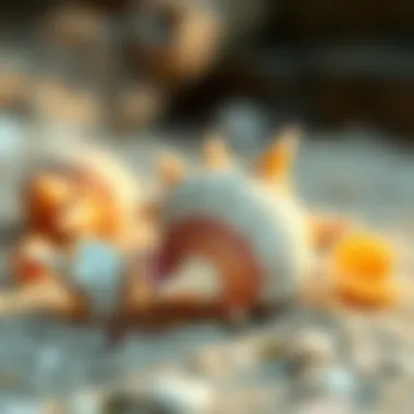 Nature's Artistry: Seashells Embodying Coastal Life Close-up of seashells and sand illustrating coastal biodiversity