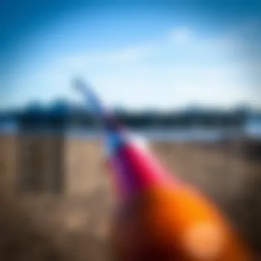Comparative Analysis of Surf Rods Comparison chart of the BerryPro surf rod with other surf rods on the market.
