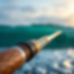 Detailed view of the BerryPro surf rod showcasing its sleek design and materials.