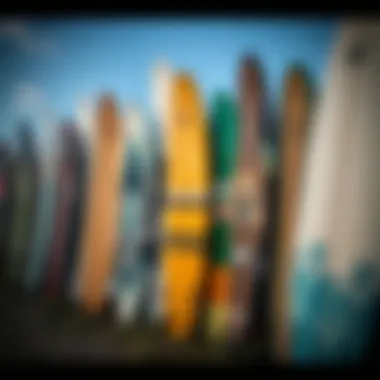 Diverse Surfboard Designs A stunning collection of surfboards displayed online showcasing various designs and styles