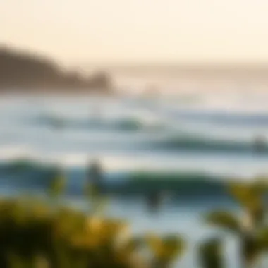 Scenic Surf Spot with Surfers A scenic view of surfers riding waves at a popular surf spot