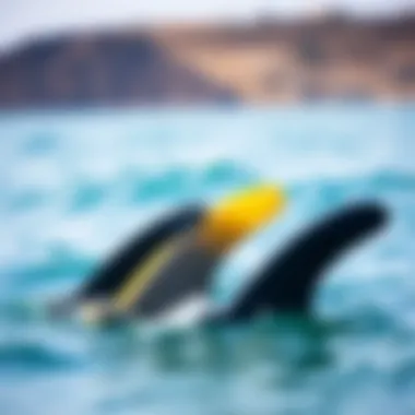 Comparison of Bodysurfing Fin Styles Comparison of different styles of bodysurfing fins