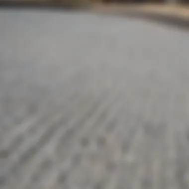 A close-up view of the textured surface of the Braille Skateboard Park, designed for tactile feedback.