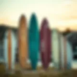 Various longboard shapes displayed for comparison