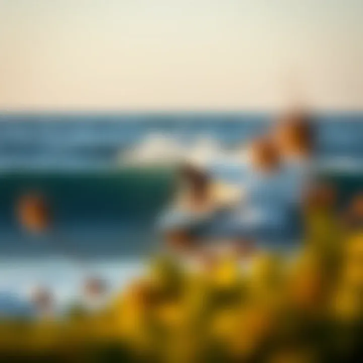 Mental Strategies for Surf Enhancement Mental training strategies for surf improvement