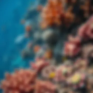 Diverse Marine Ecosystem in the Pacific Vibrant coral reef teeming with diverse marine life, highlighting the rich ecosystems within the Pacific.