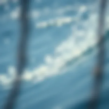 Impact on Aquatic Ecosystems Aquatic ecosystems affected by pollution