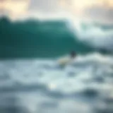 The impact of pollutants on water quality