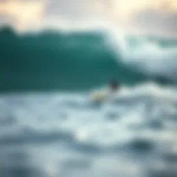 The impact of pollutants on water quality