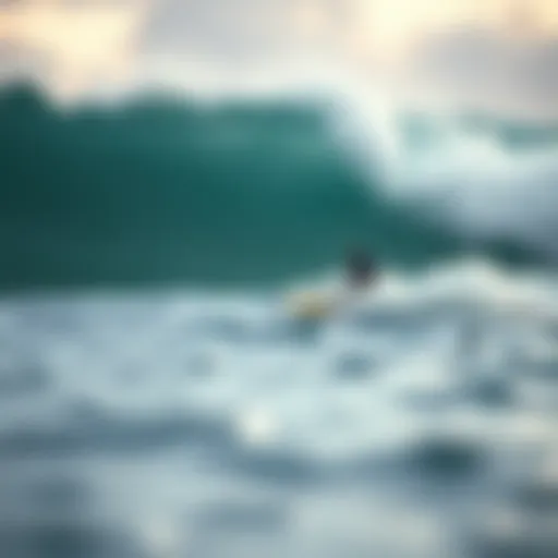 The impact of pollutants on water quality