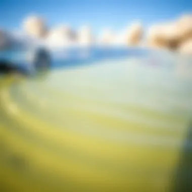 Close-up of a high-performance boogie board