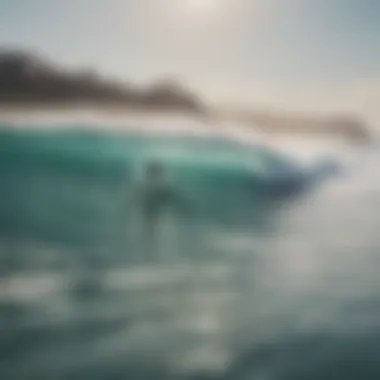 Surfers enjoying a lesson in gentle waves