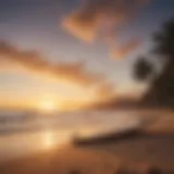 Surfboard resting on the sand during sunset