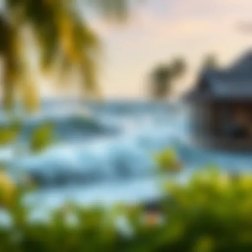 Exploring BSR Surf Resort: A Comprehensive Guide Introduction