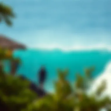 Notable Exploring BSR Surf Resort: A Comprehensive Guide Notable Exploring BSR Surf Resort: A Comprehensive Guide