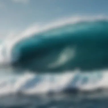 Protecting the Marine Environment of Cold Hawaii Ecological initiatives aimed at preserving Cold Hawaii's marine life