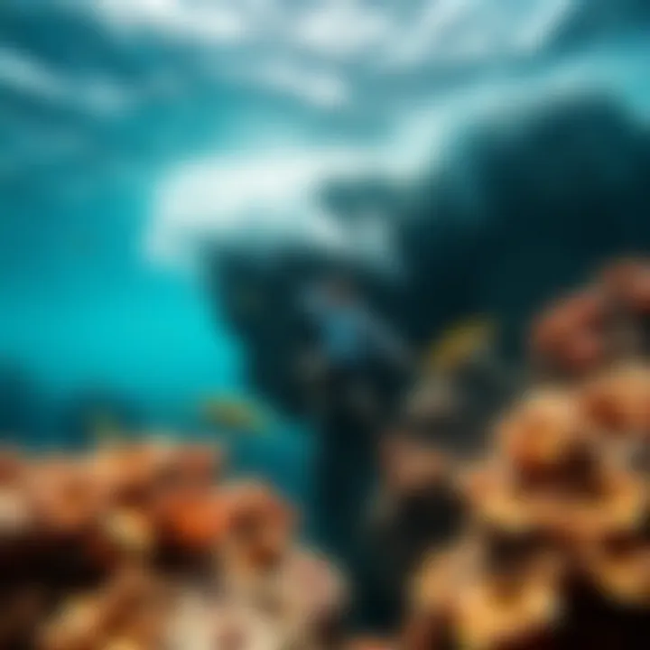 Beautiful coral reef ecosystem affected by tourism