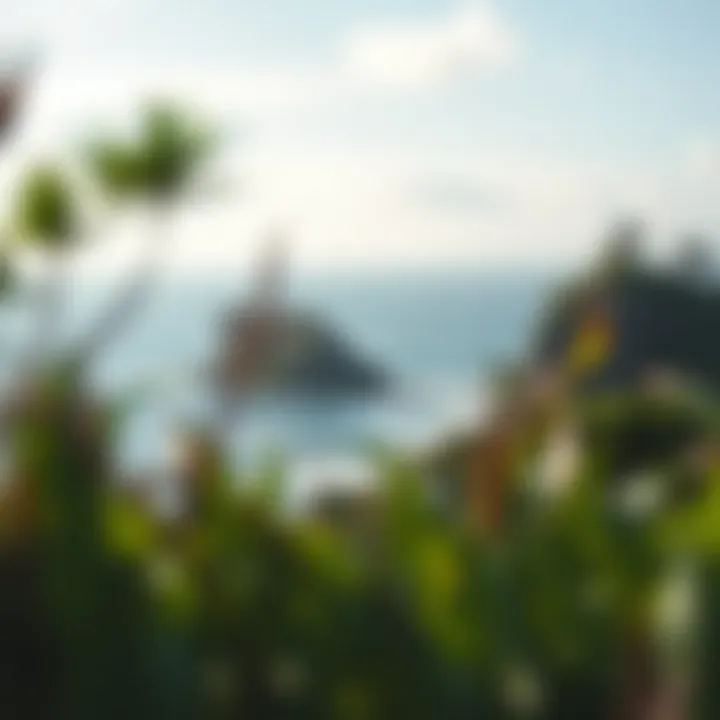 Captivating view of a secluded island surf spot