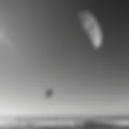 Duotone Evo 12m kite soaring in the sky