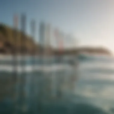 Design Variations in Cost-Effective Surf Rods An array of surf rods displayed in a contrasting environment
