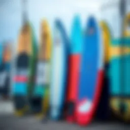 An array of entry-level paddle boards displayed on a waterfront