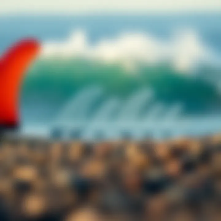 Compatibility of FCS Fin Plugs A diagram illustrating the compatibility of various FCS fin plugs with surfboards.