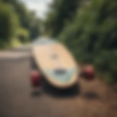 Sustainable Choices: Eco-Friendly Materials in Longboards Eco-friendly materials used in the construction of a foldable longboard