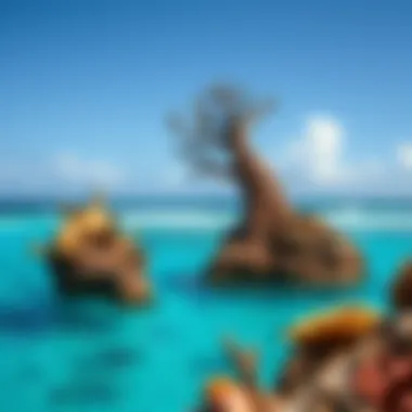 Cultural Heritage and the Great Barrier Reef Indigenous artwork representing the cultural significance of the Great Barrier Reef