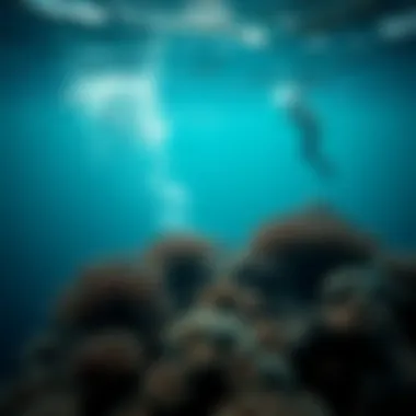 Threats to Reef Ecosystems Underwater scene depicting marine threats such as coral bleaching and pollution