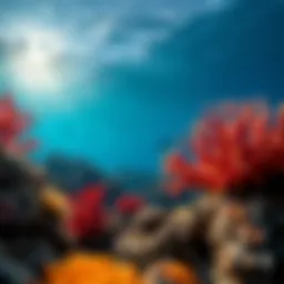 Vibrant coral formations showcasing the rich biodiversity of the Great Barrier Reef