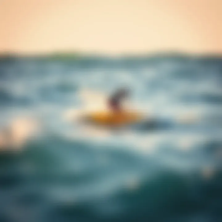 Comparing the Performance of Inflatable Paddle Boards in the Ocean Performance comparison of inflatable paddle boards in ocean settings