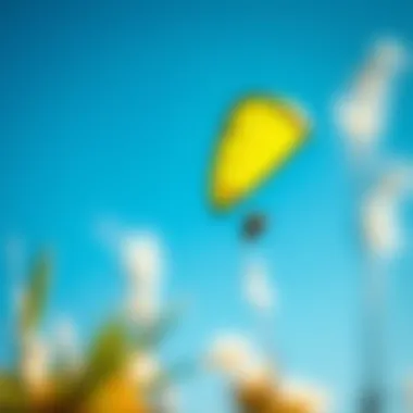The Thrill of the Kite A vibrant kite soaring in the clear blue sky, showcasing the thrill of land-based kite surfing.