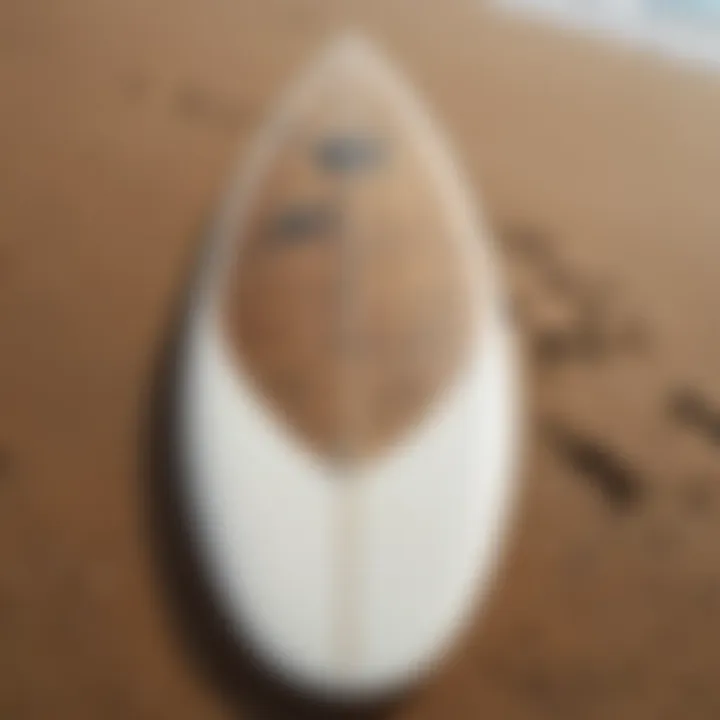 Close-up of a custom land surfboard showcasing unique design features