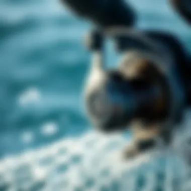 Maintenance Tips for Long Cast Surf Spinning Reels Essential maintenance tips for prolonging the life of surf spinning reels