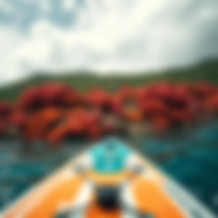 Coral Reef from Paddle Board Perspective A vibrant coral reef viewed from above while paddle boarding