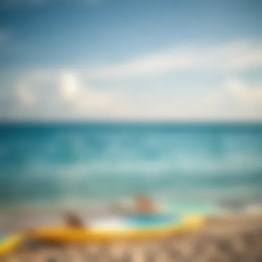 Tranquil Ocean View with Paddle Boards A tranquil ocean view with paddle boards resting on the shore